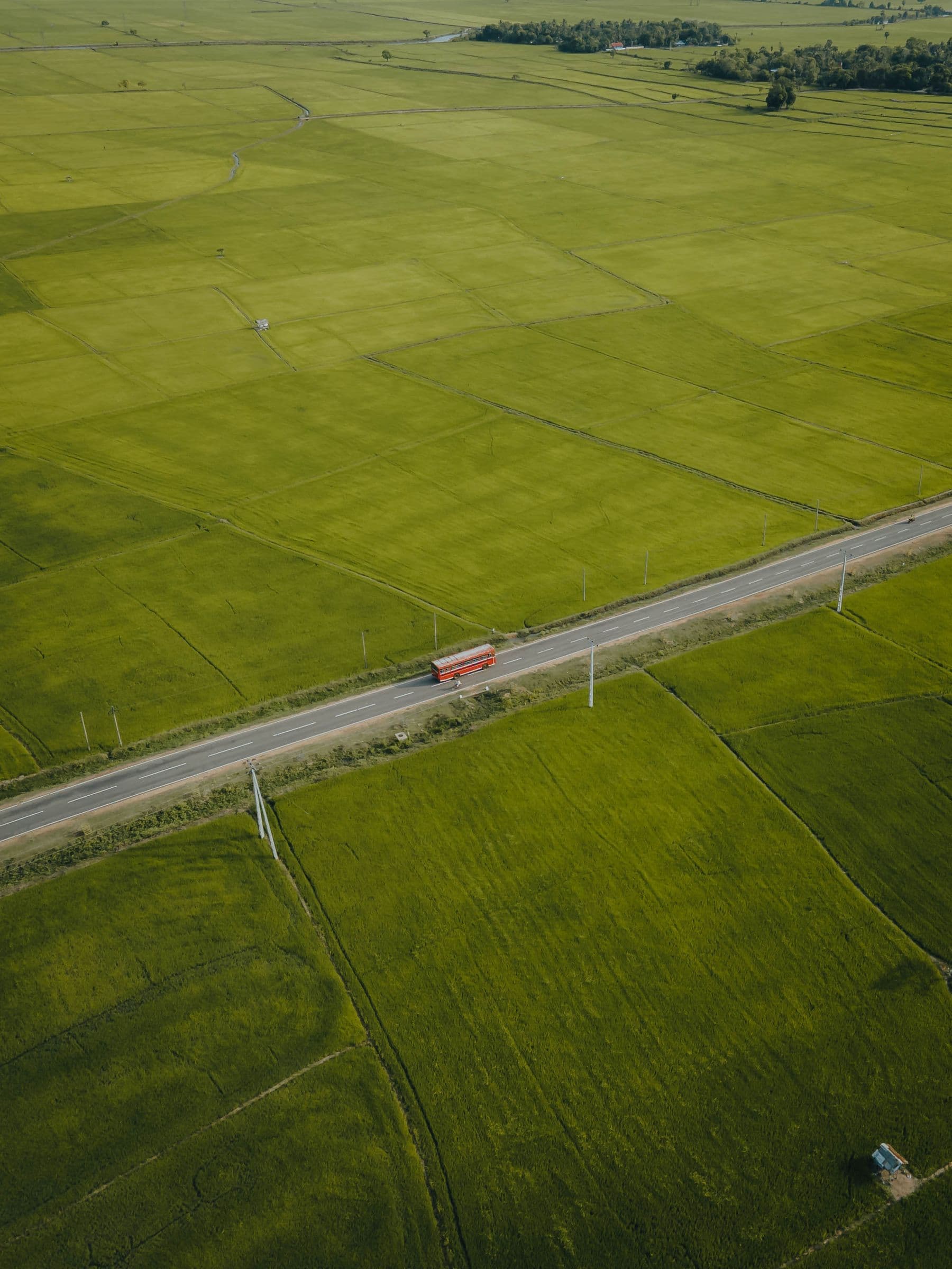 A red bus travels along a road through green countryside